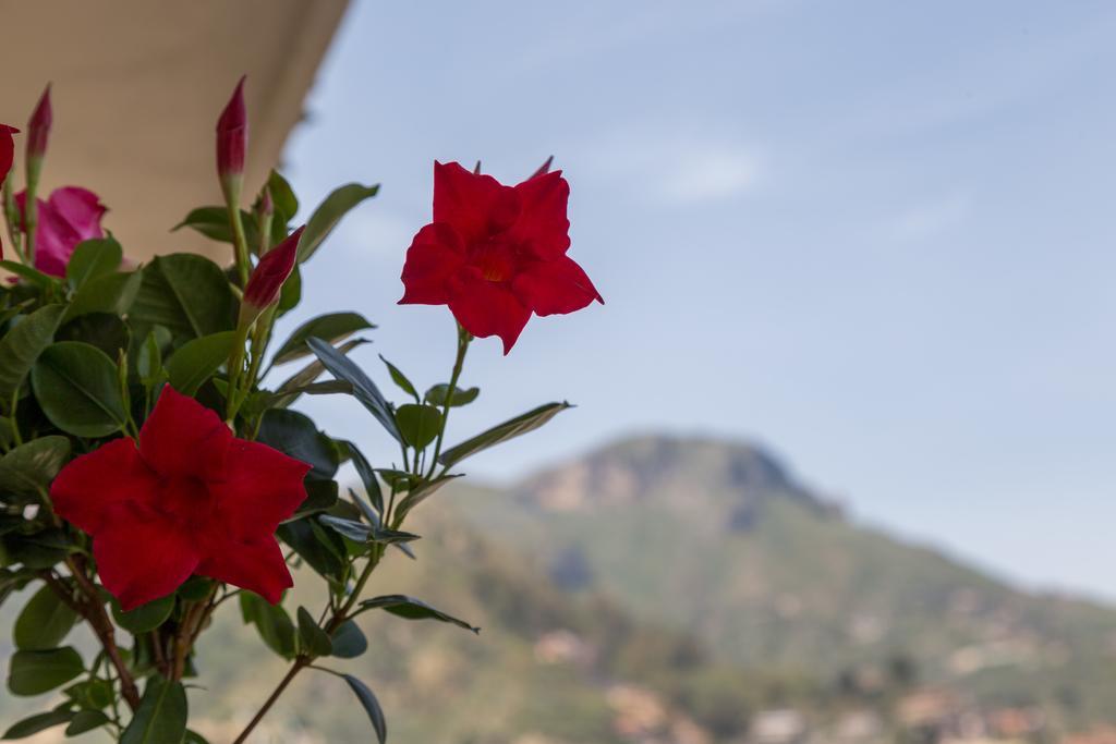 La Guardiola Di Angela E Nino Bed & Breakfast Taormina Luaran gambar